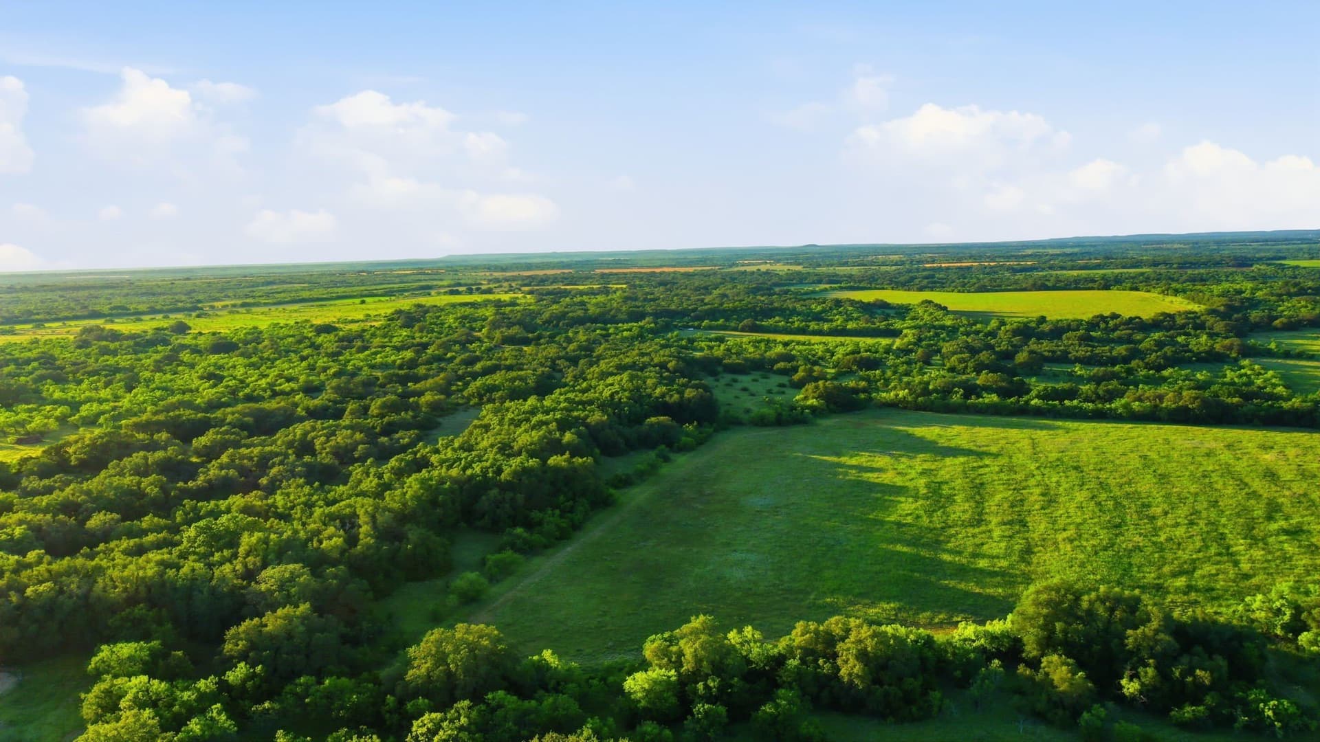 169.48 acres in Coleman County - photo 23