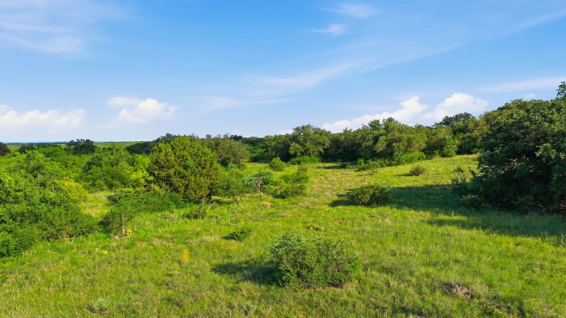 169.48 acres in Coleman County - photo 32