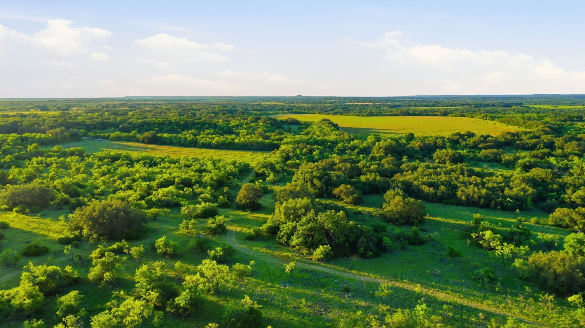 169.48 acres in Coleman County - photo 19