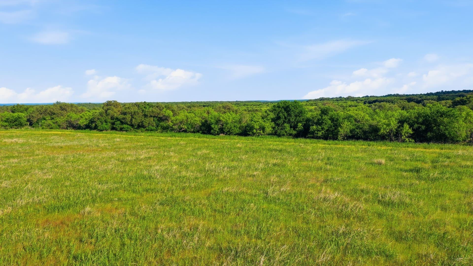 169.48 acres in Coleman County - photo 30