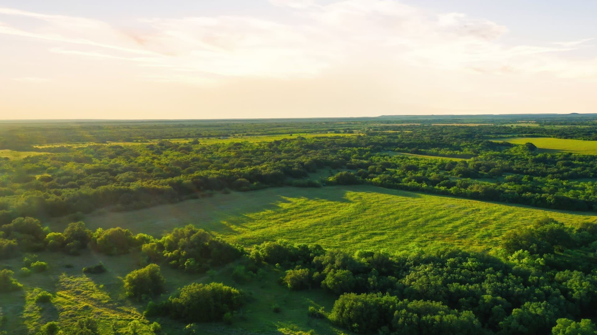 169.48 acres in Coleman County - photo 6