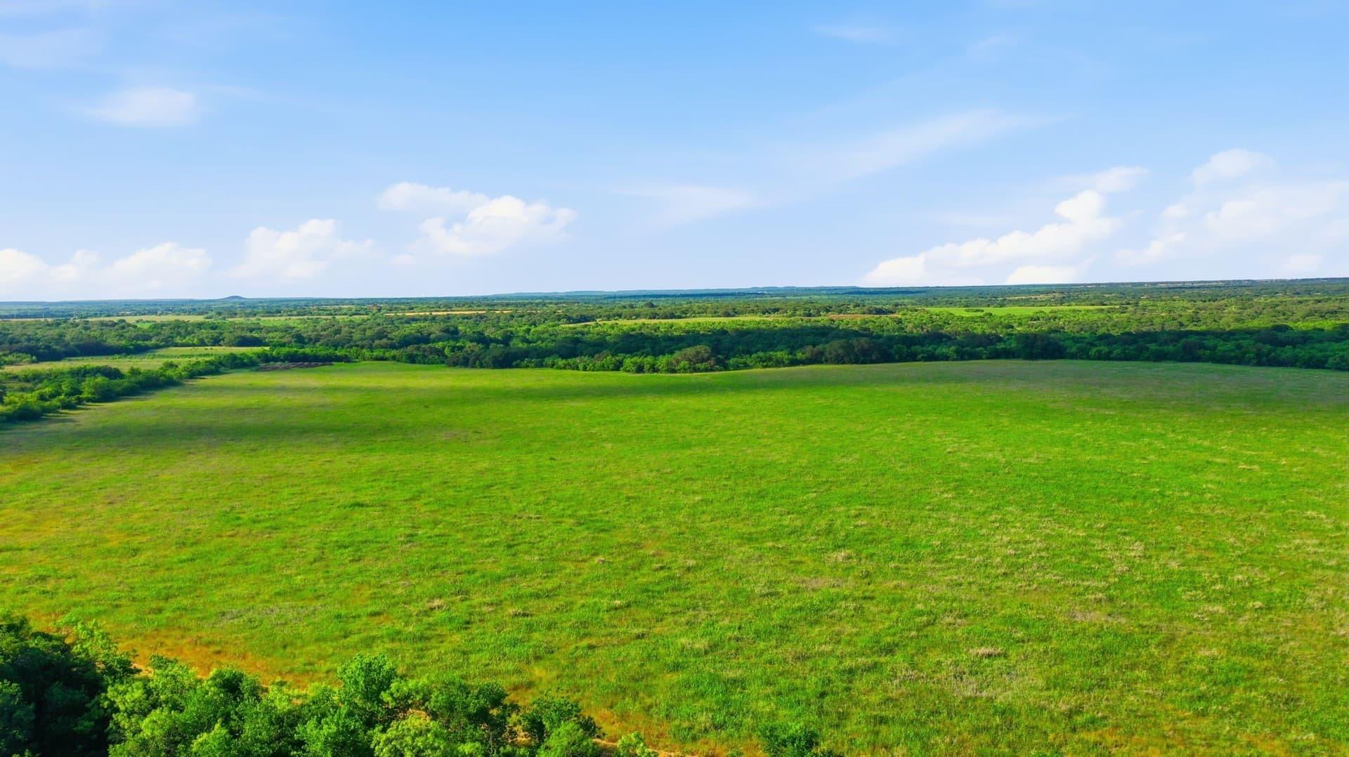 169.48 acres in Coleman County - photo 39