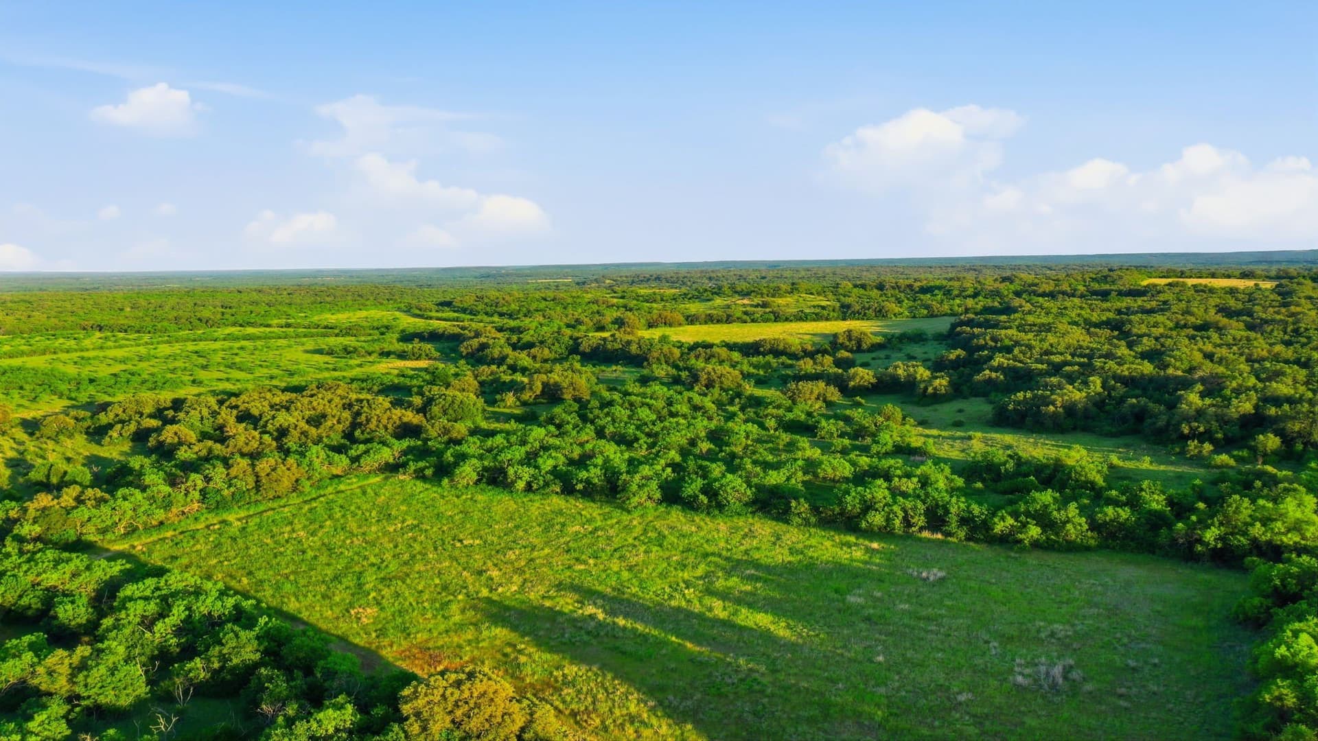 169.48 acres in Coleman County - photo 21