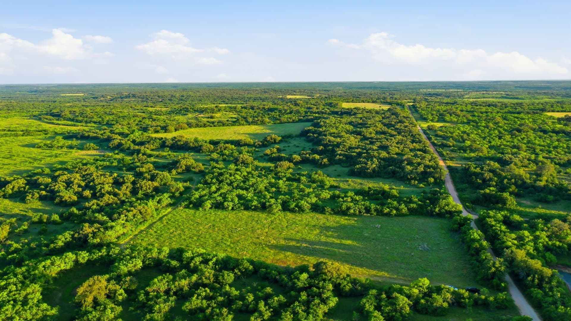 169.48 acres in Coleman County - photo 18
