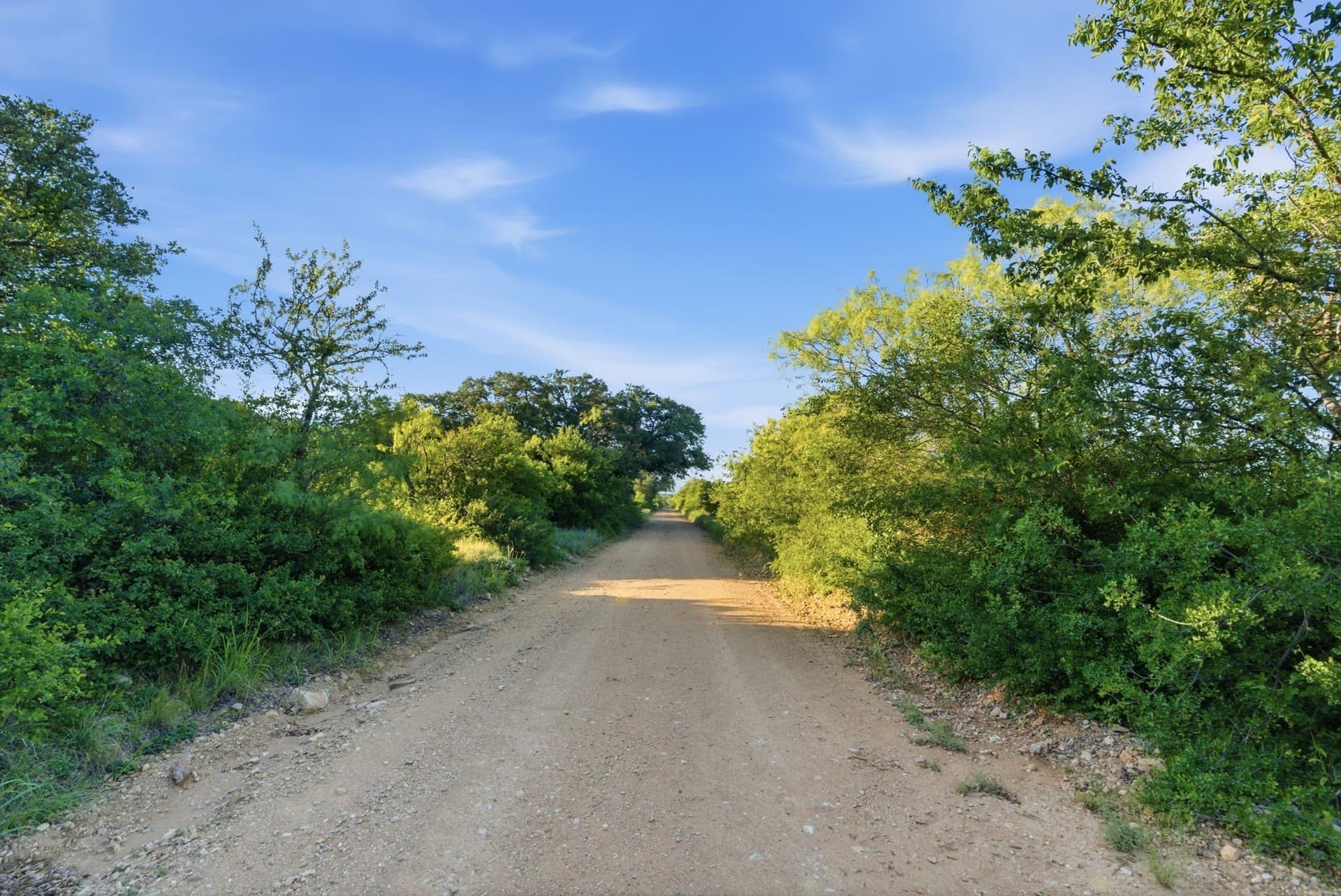 169.48 acres in Coleman County - photo 10