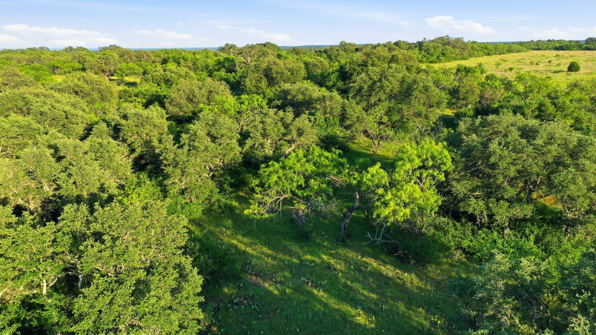 169.48 acres in Coleman County - photo 13