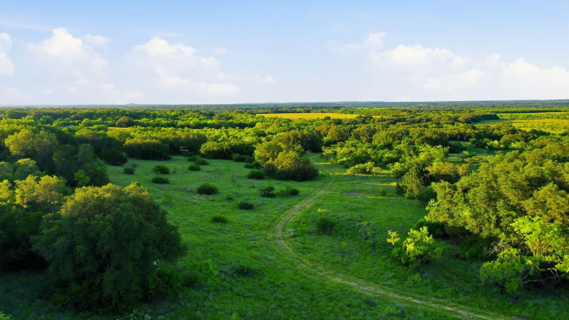 169.48 acres in Coleman County - photo 28