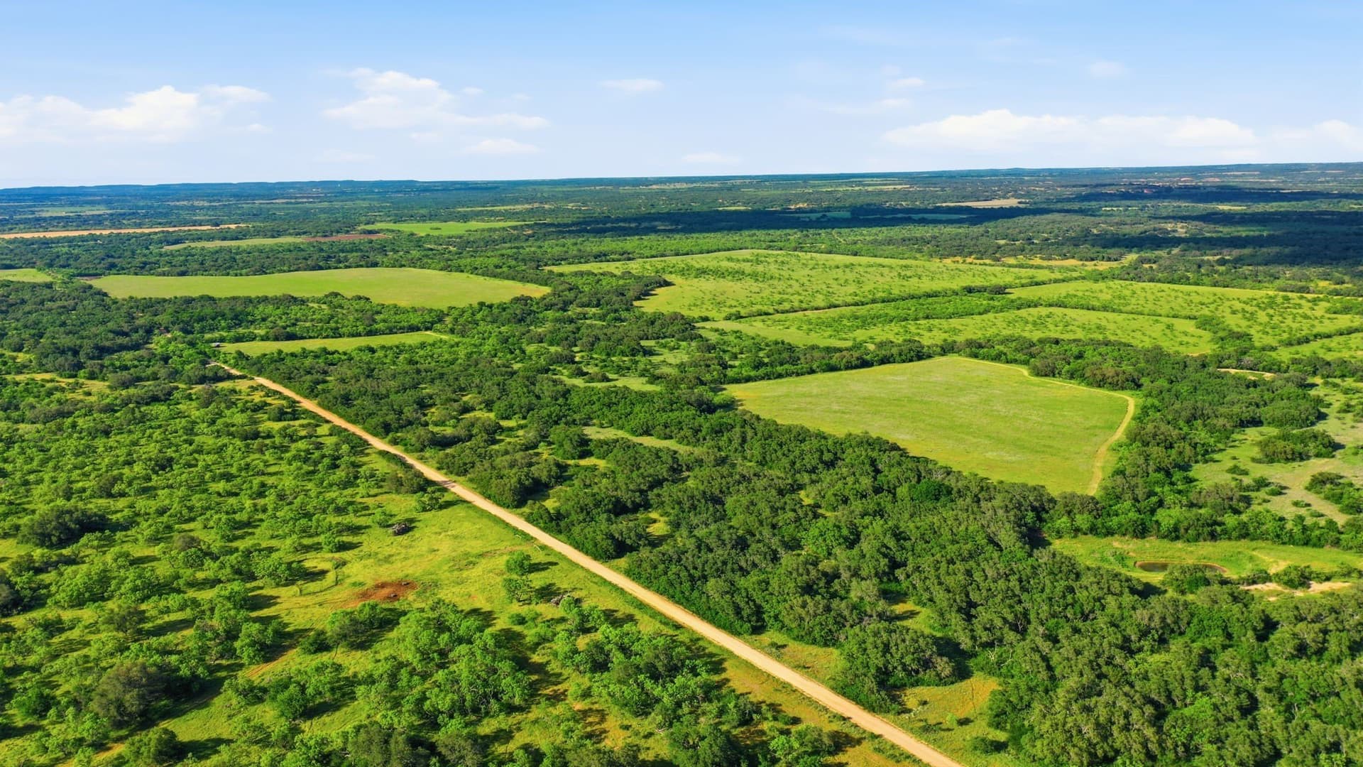 169.48 acres in Coleman County - photo 20