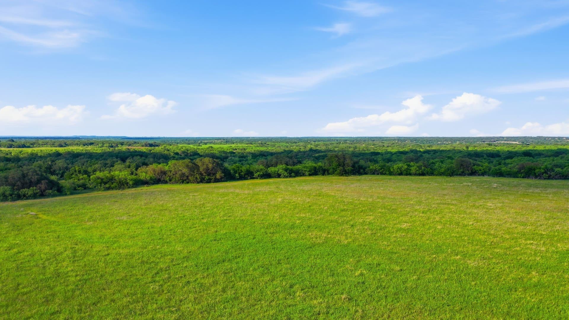 169.48 acres in Coleman County - photo 37