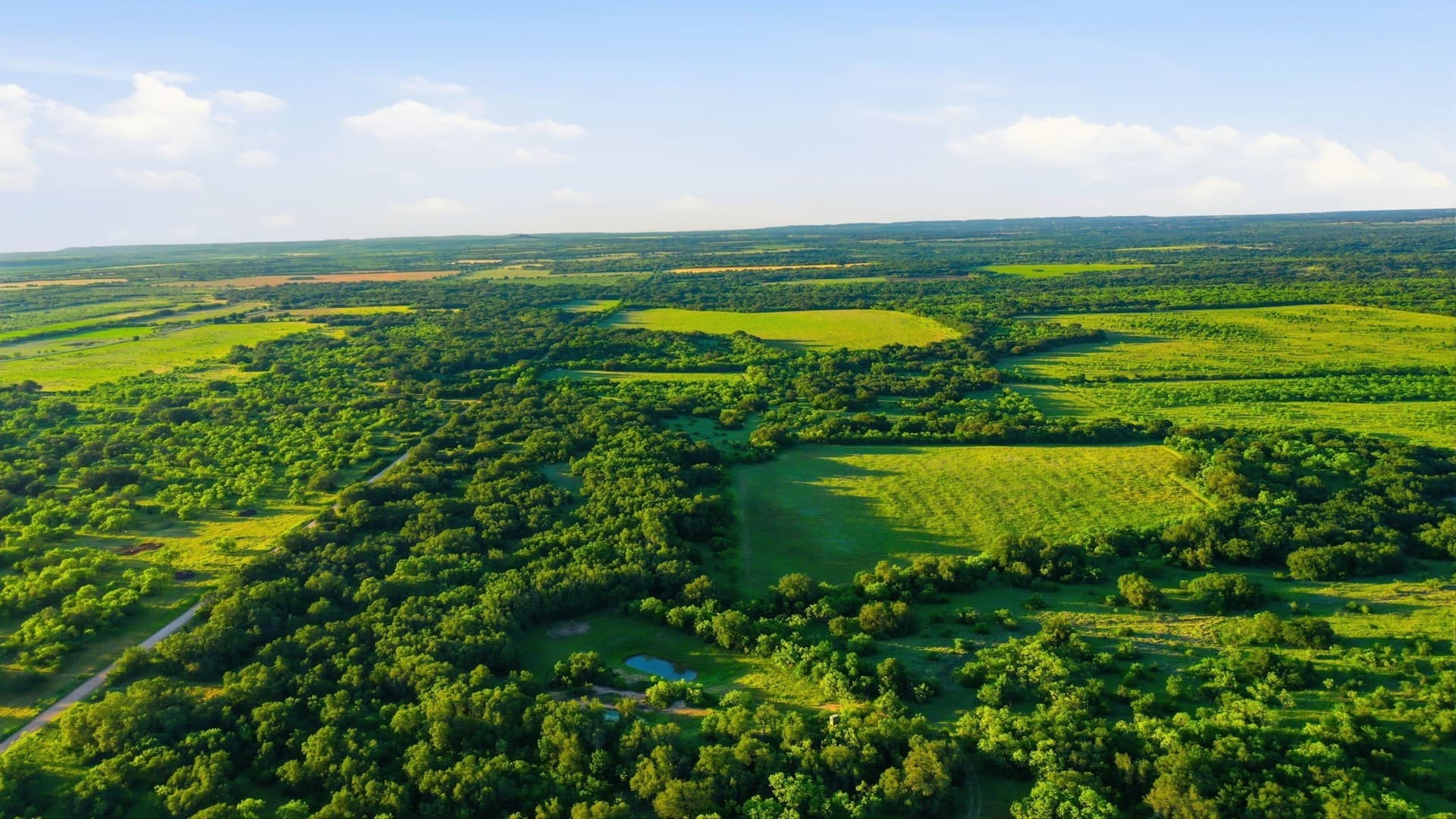 169.48 acres in Coleman County - photo 24