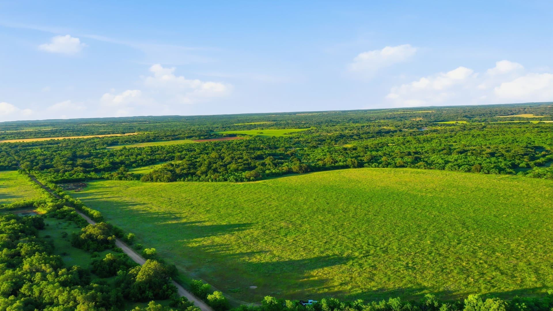 169.48 acres in Coleman County - photo 22