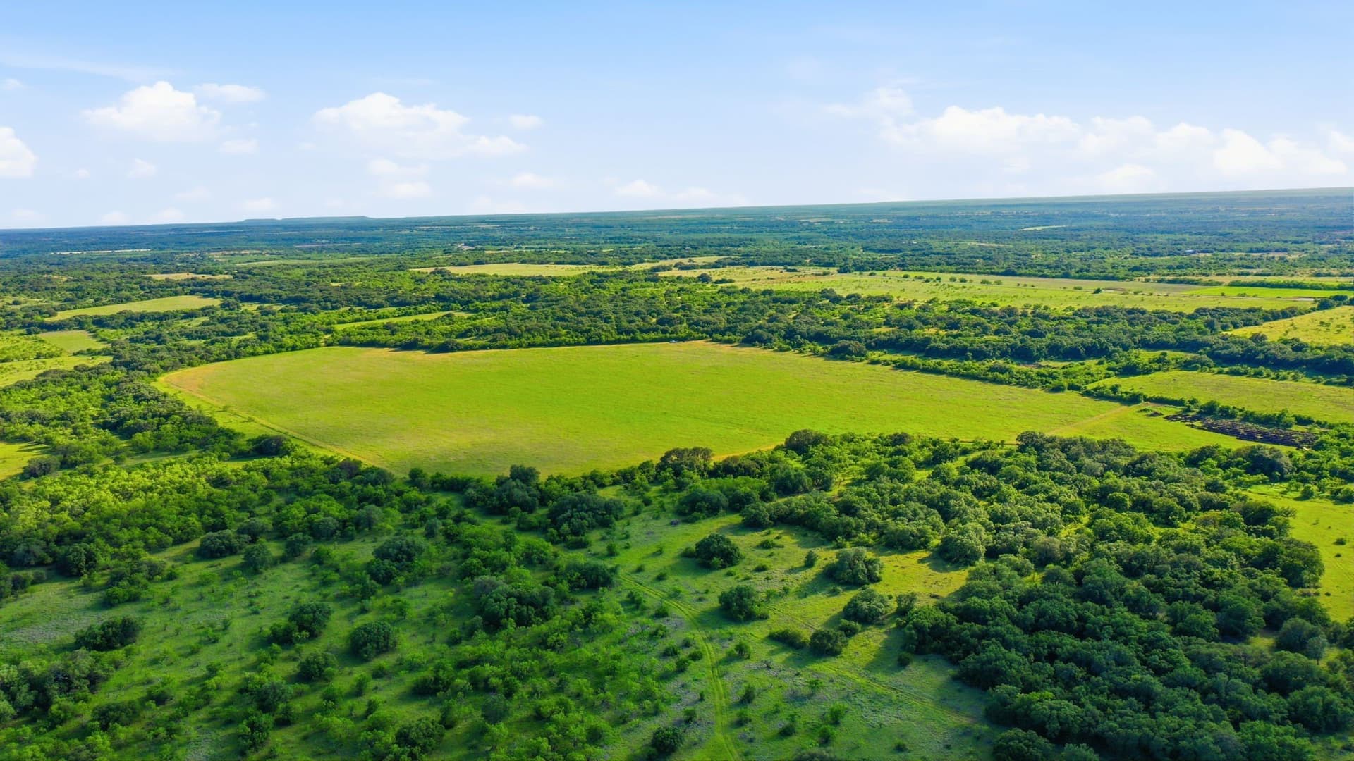 169.48 acres in Coleman County - photo 40