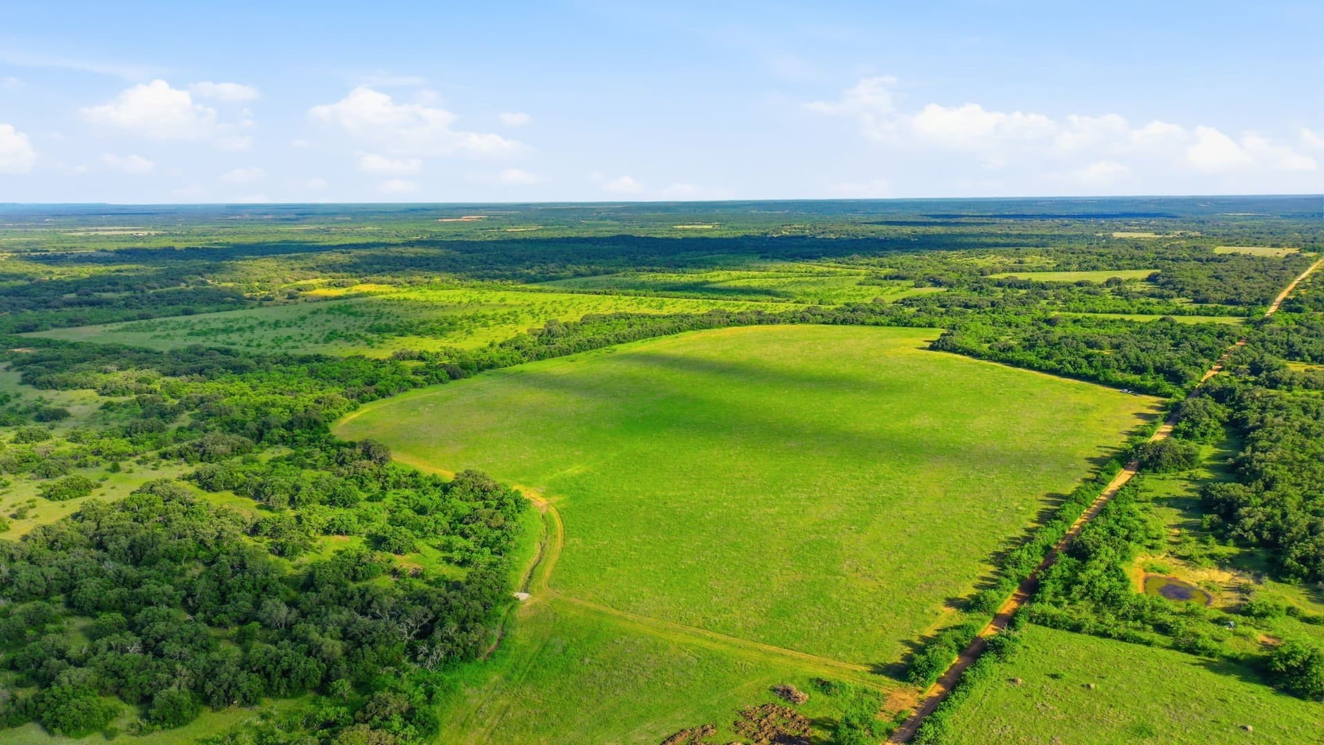 169.48 acres in Coleman County - photo 12