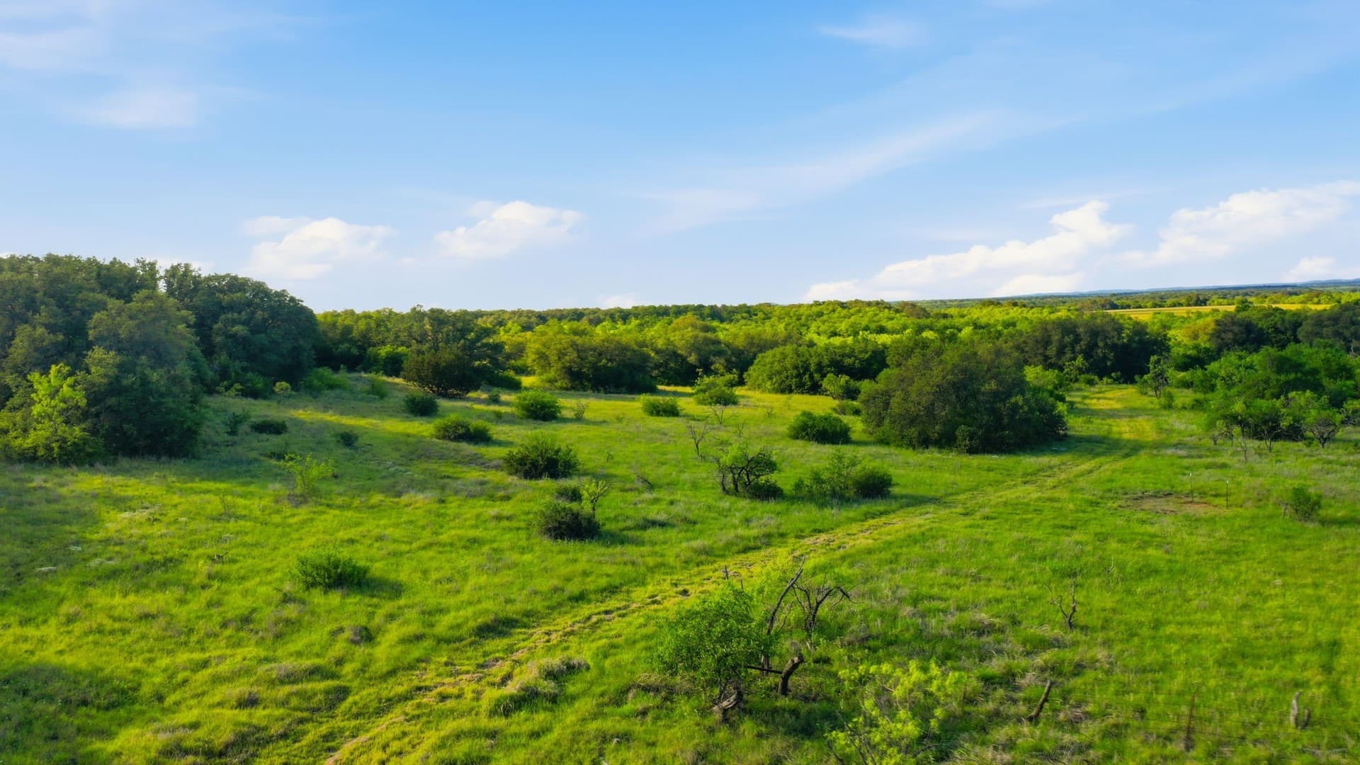 169.48 acres in Coleman County - photo 31