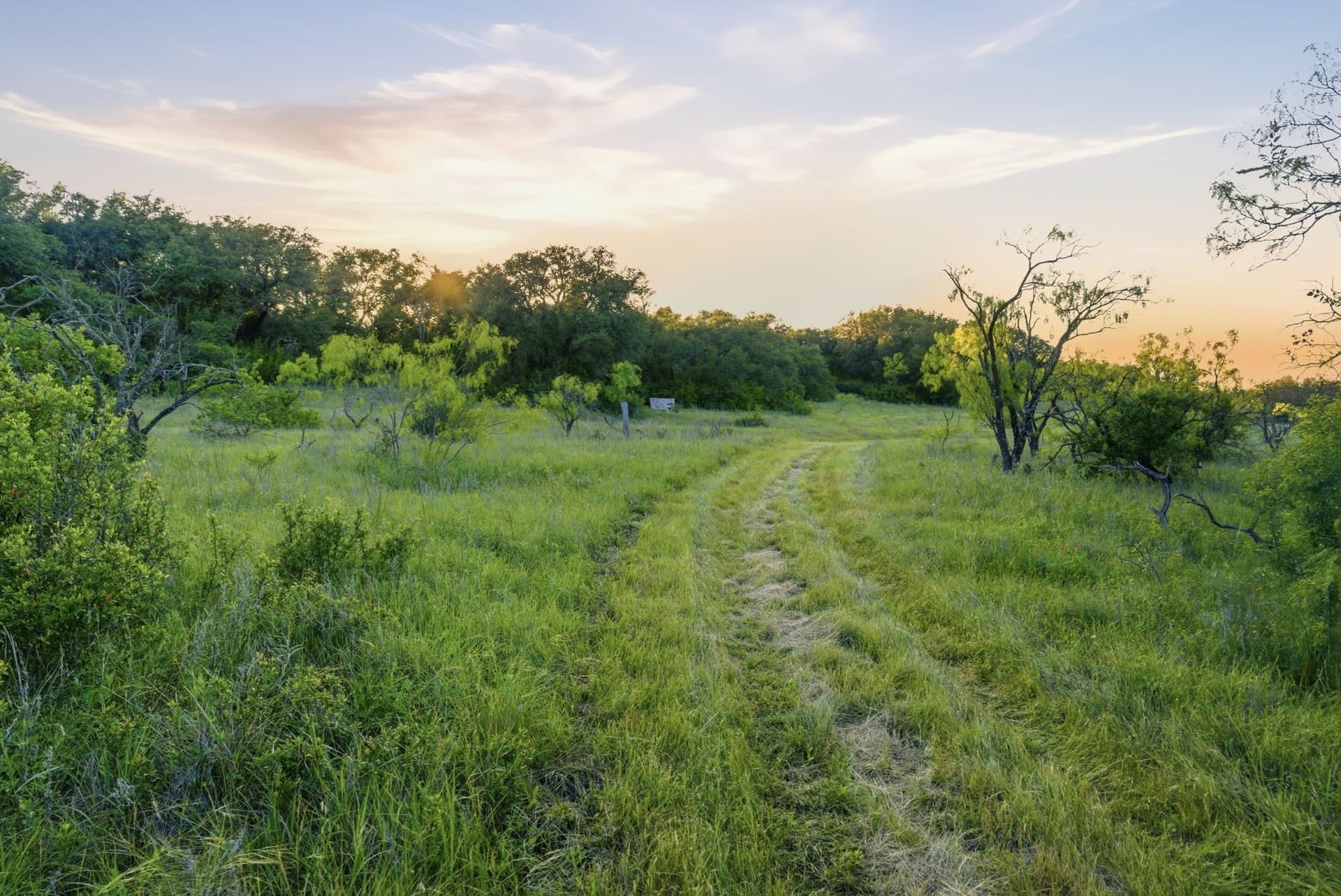 169.48 acres in Coleman County - photo 7
