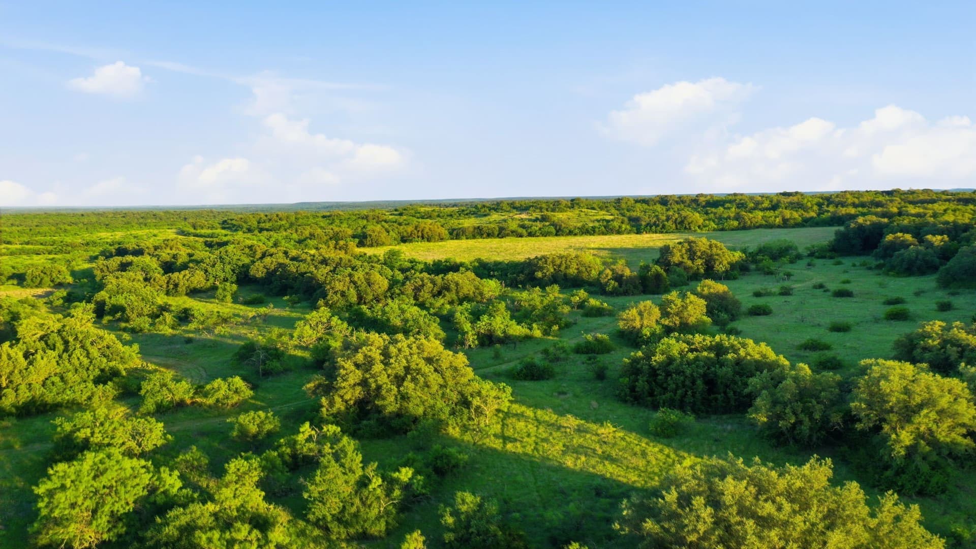 169.48 acres in Coleman County - photo 17