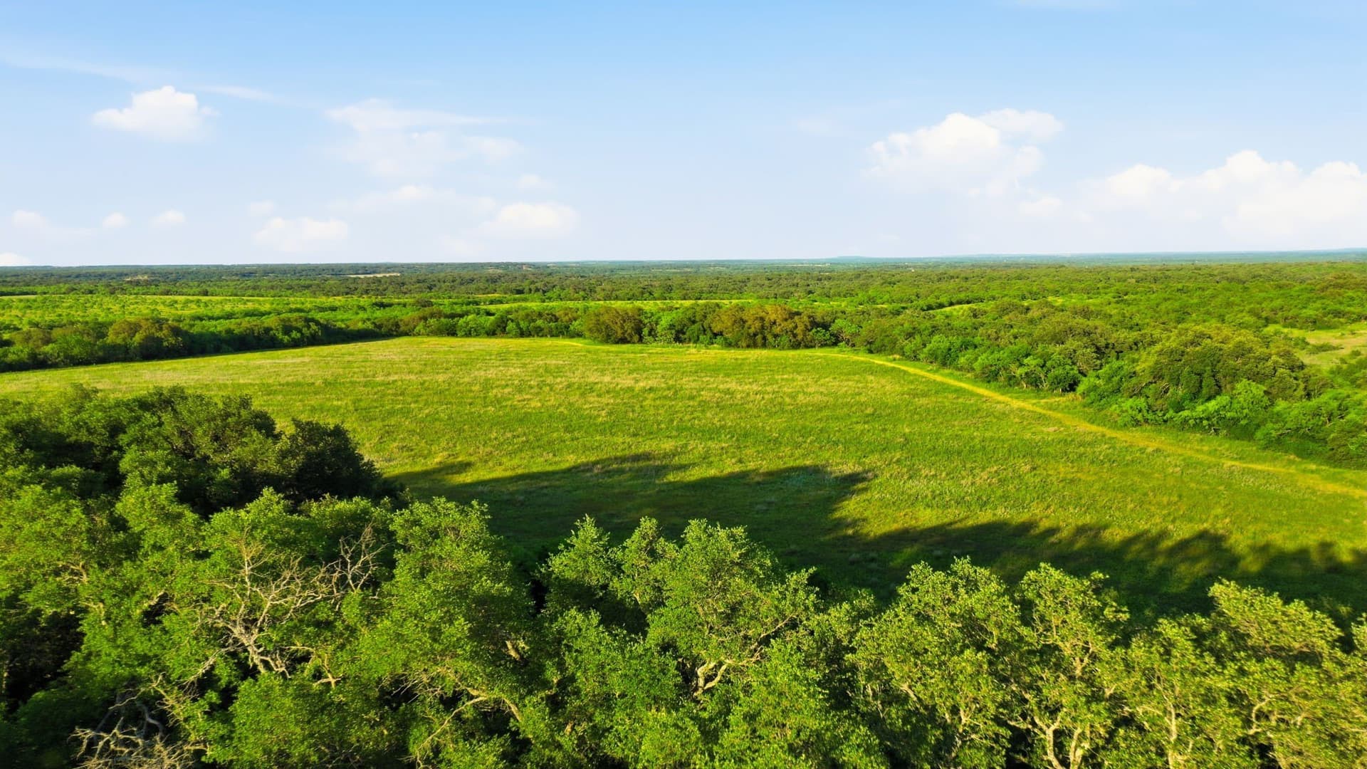 169.48 acres in Coleman County - photo 27
