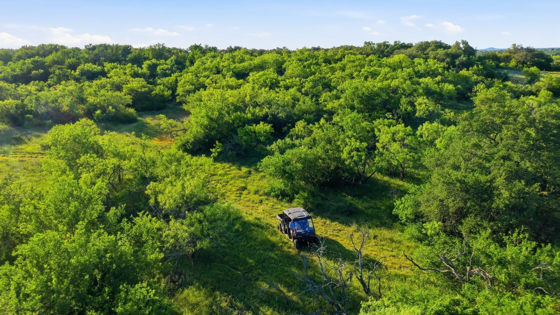 169.48 acres in Coleman County - photo 26