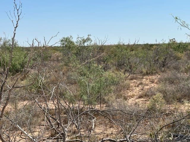 35.33 acres in Ector County - photo 3