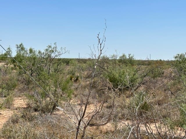 35.33 acres in Ector County - photo 4