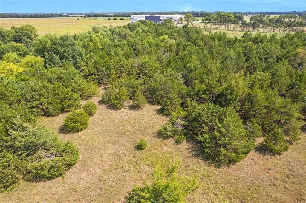 60 acres in Fannin County gallery image 3