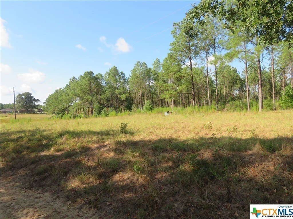 156.59 acres in Newton County - photo 10