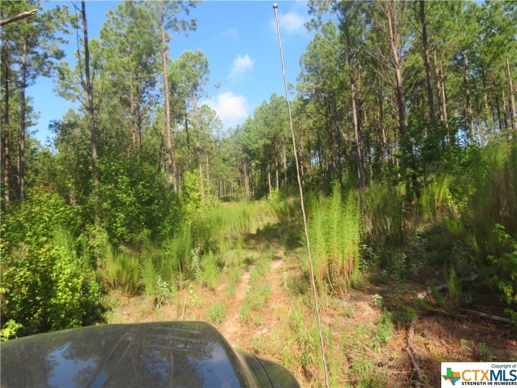 156.59 acres in Newton County - photo 6