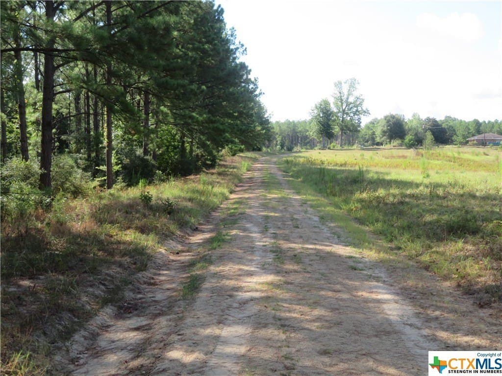 156.59 acres in Newton County - photo 13