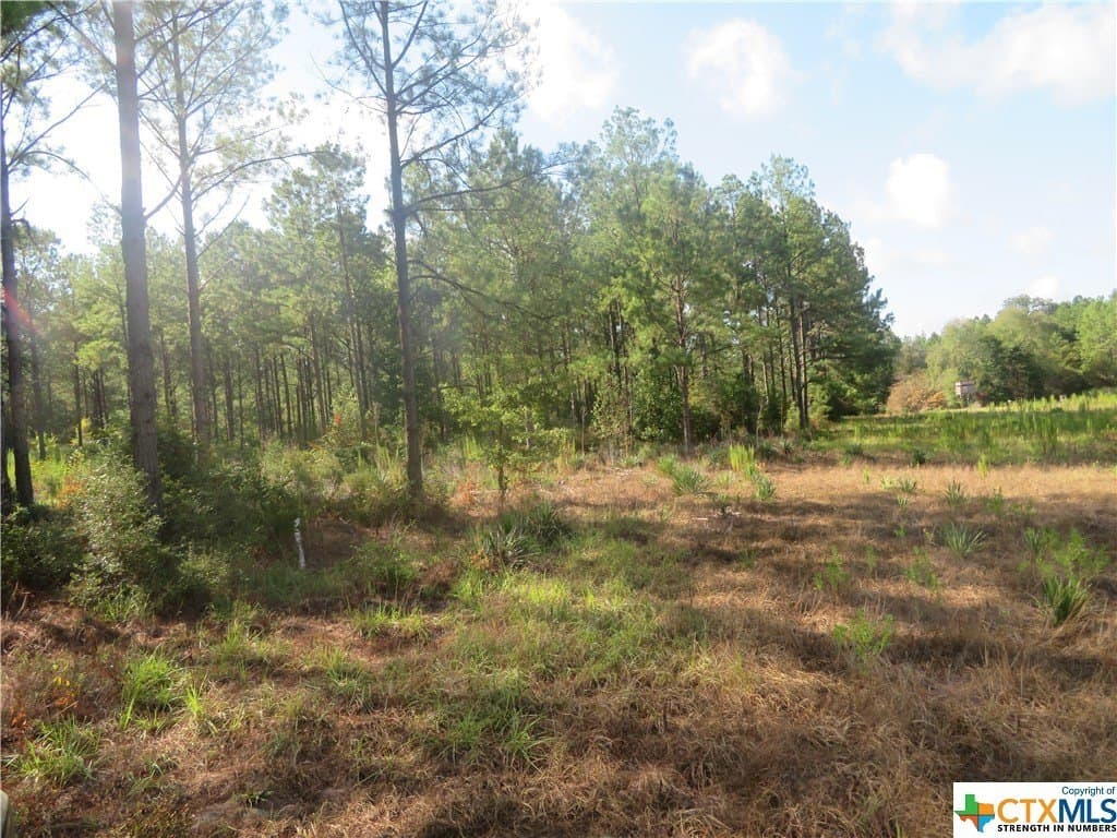 156.59 acres in Newton County gallery image 3