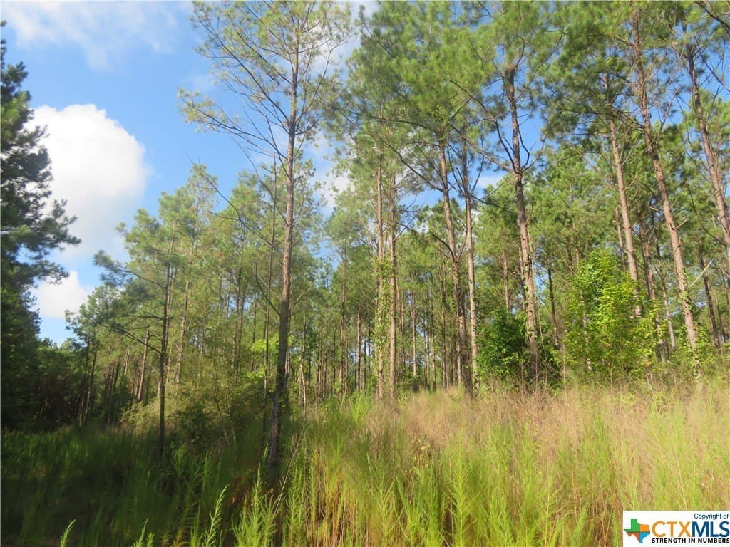156.59 acres in Newton County featured view