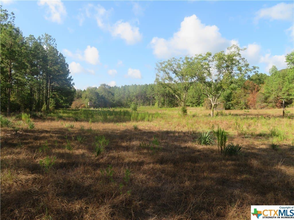 156.59 acres in Newton County gallery image 2