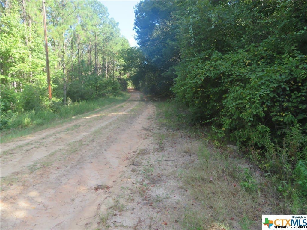 156.59 acres in Newton County - photo 8