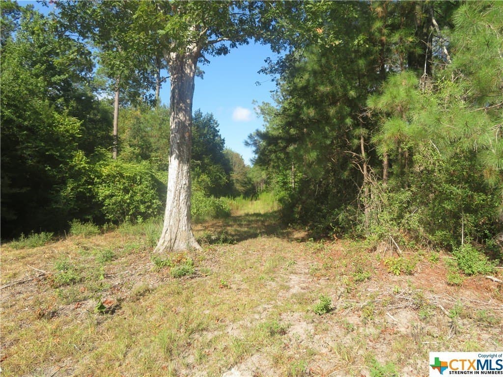 156.59 acres in Newton County - photo 7
