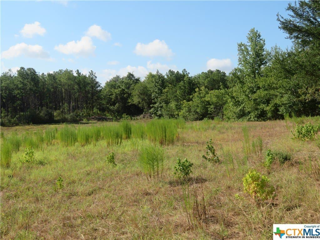 156.59 acres in Newton County - photo 14