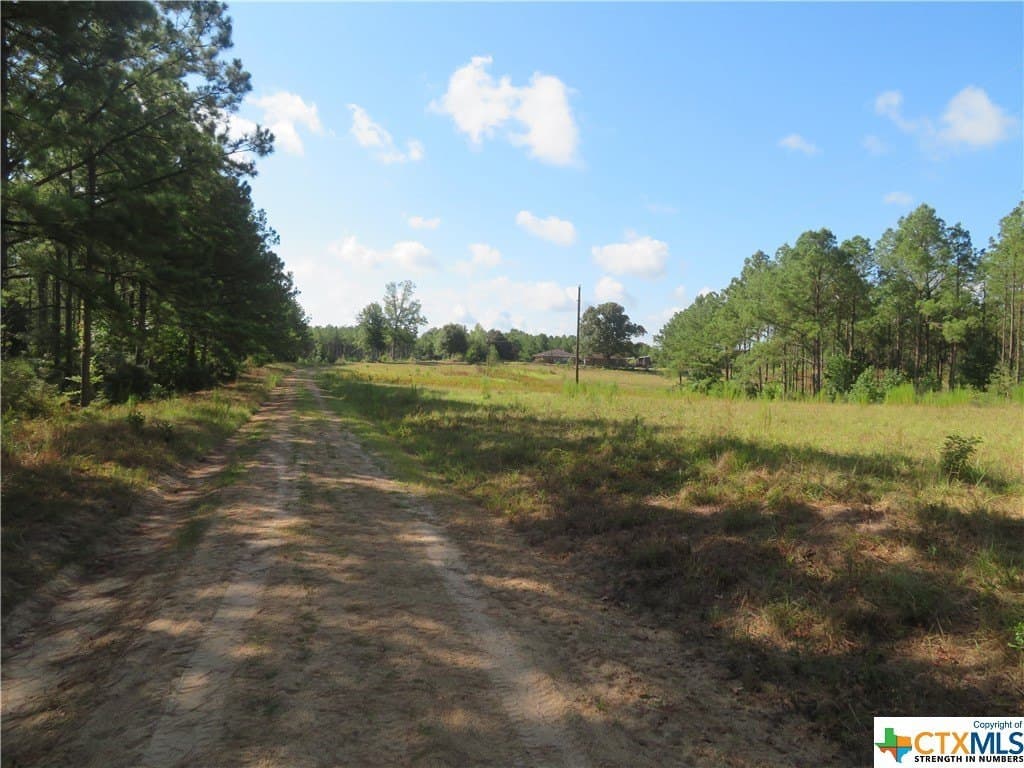156.59 acres in Newton County - photo 9