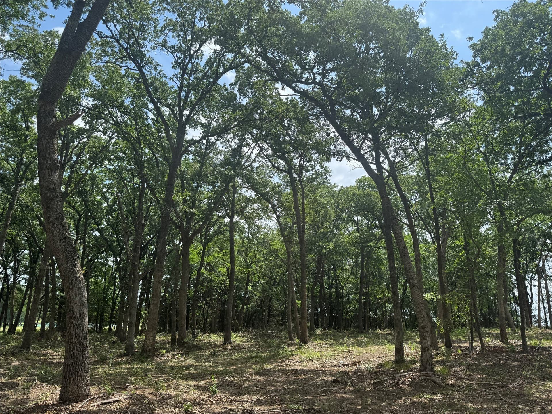 1 acres in Grayson County - photo 9