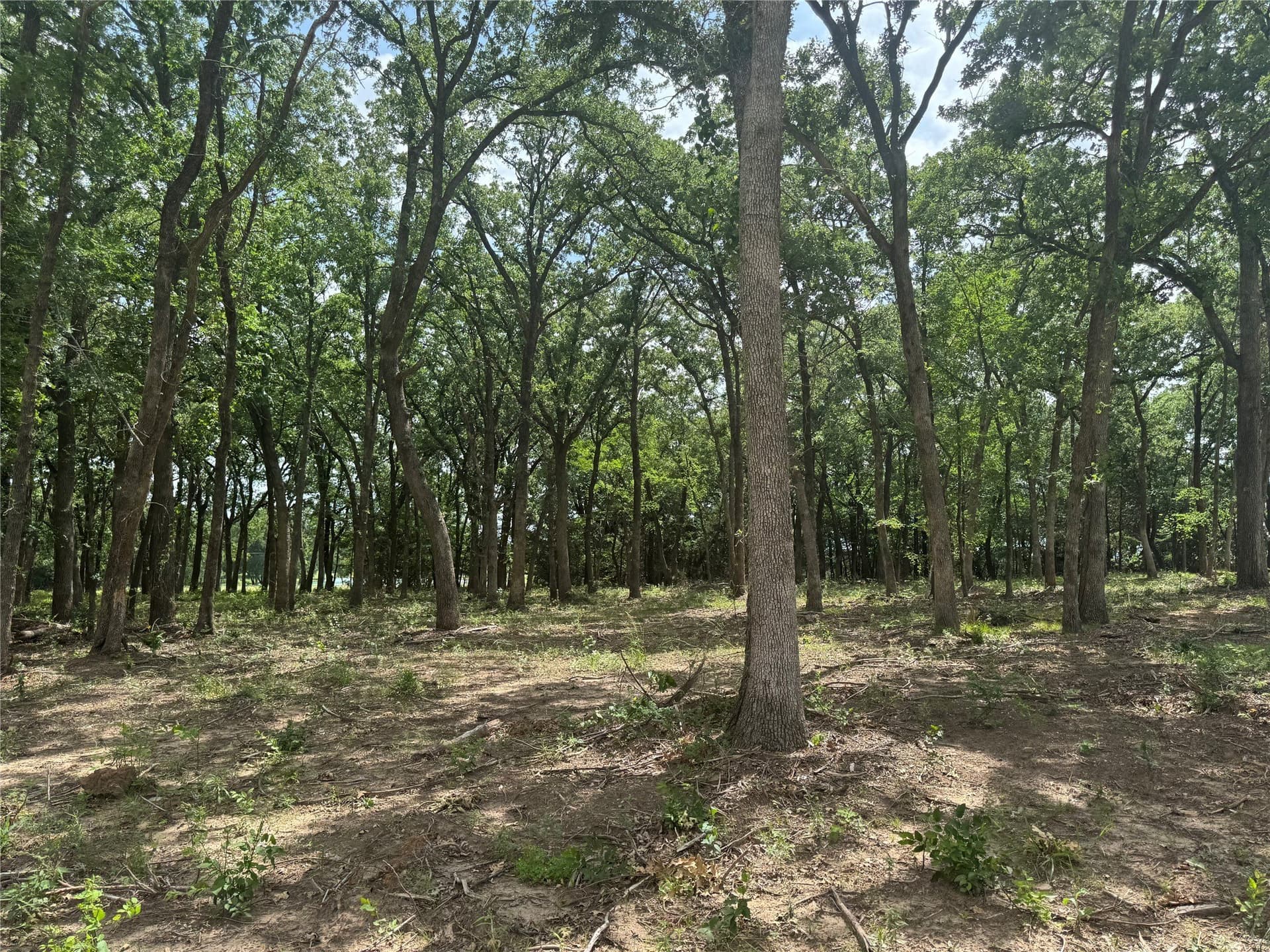 1 acres in Grayson County - photo 12