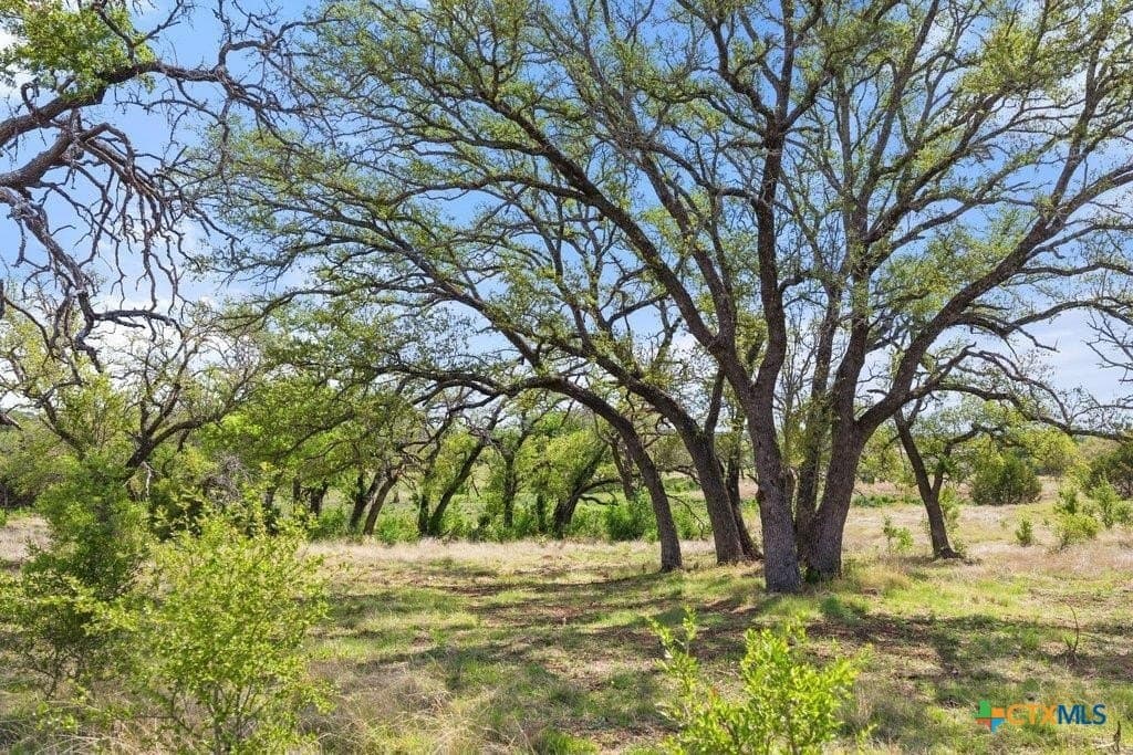 10.19 acres in Burnet County - photo 18