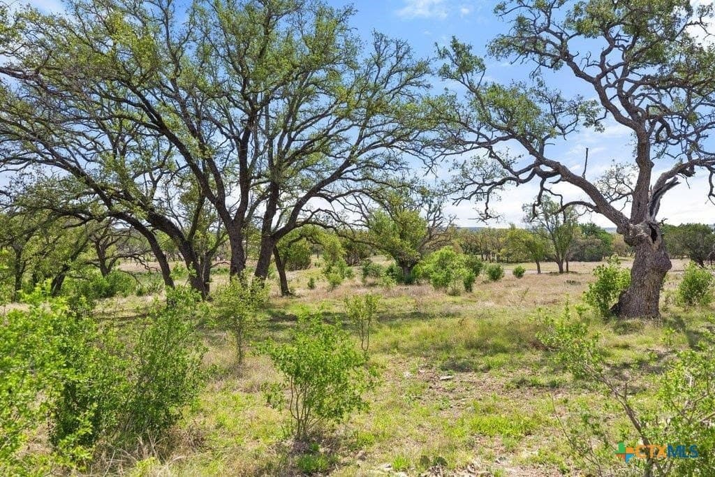 10.19 acres in Burnet County - photo 17