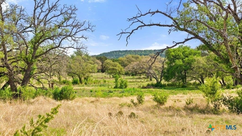 10.19 acres in Burnet County - photo 9