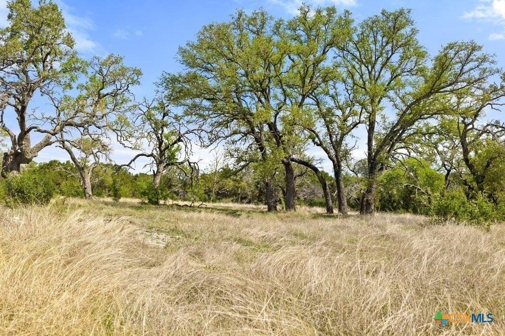 10.19 acres in Burnet County - photo 10