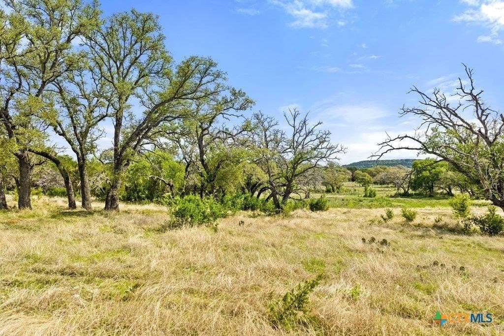 10.19 acres in Burnet County - photo 8