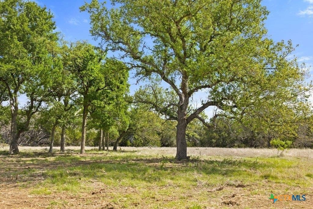10.19 acres in Burnet County - photo 6