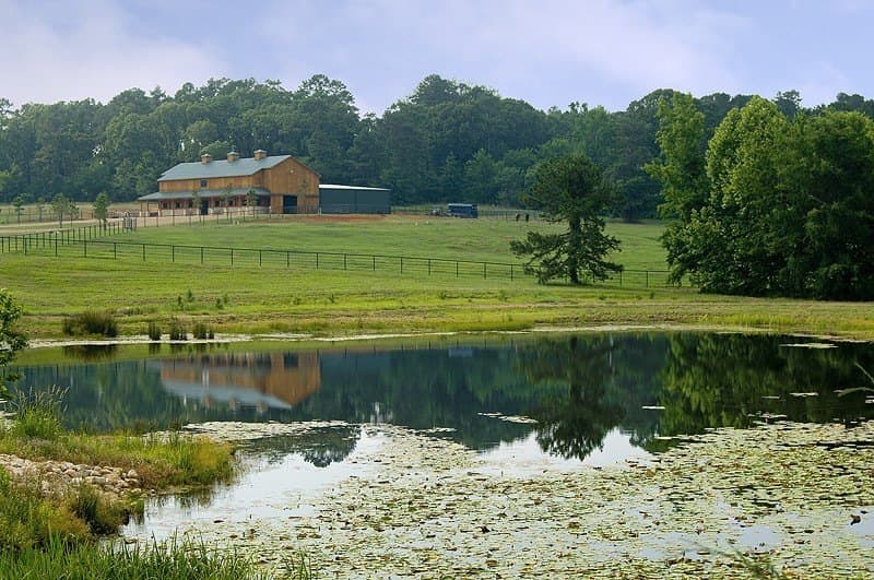 5.02 acres in Wood County gallery image 4