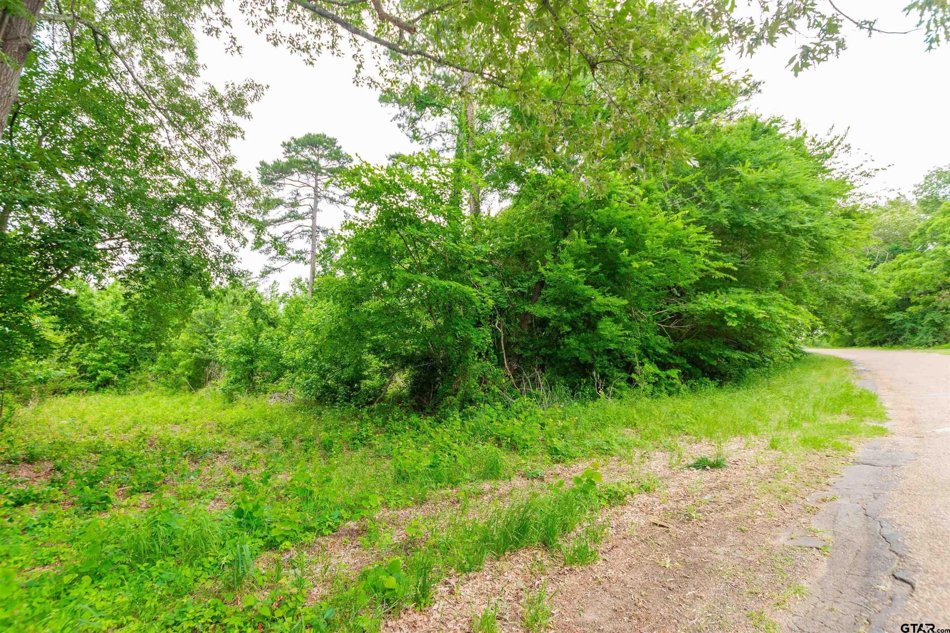 1.6 acres in Van Zandt County gallery image 2