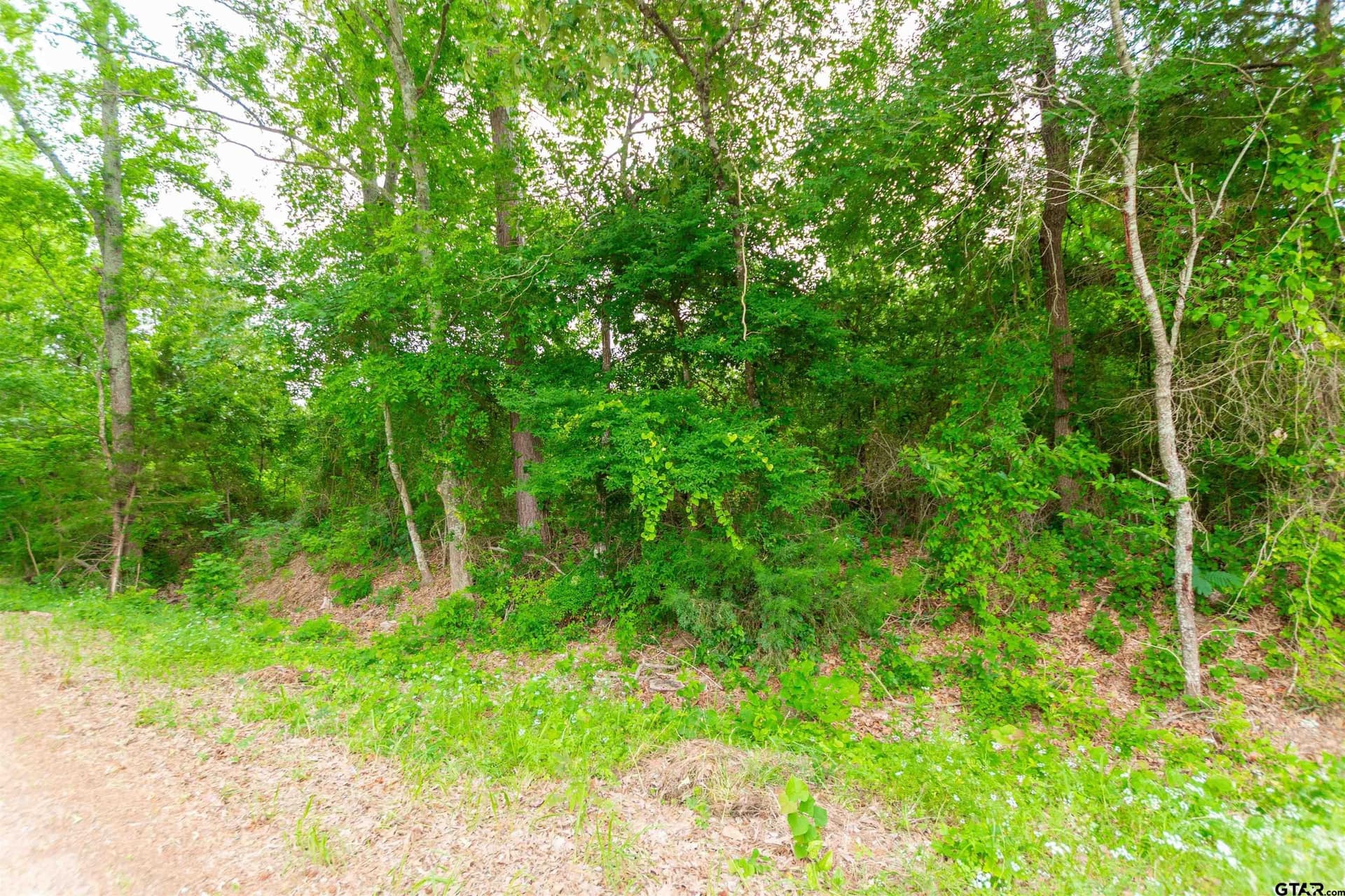 1.6 acres in Van Zandt County