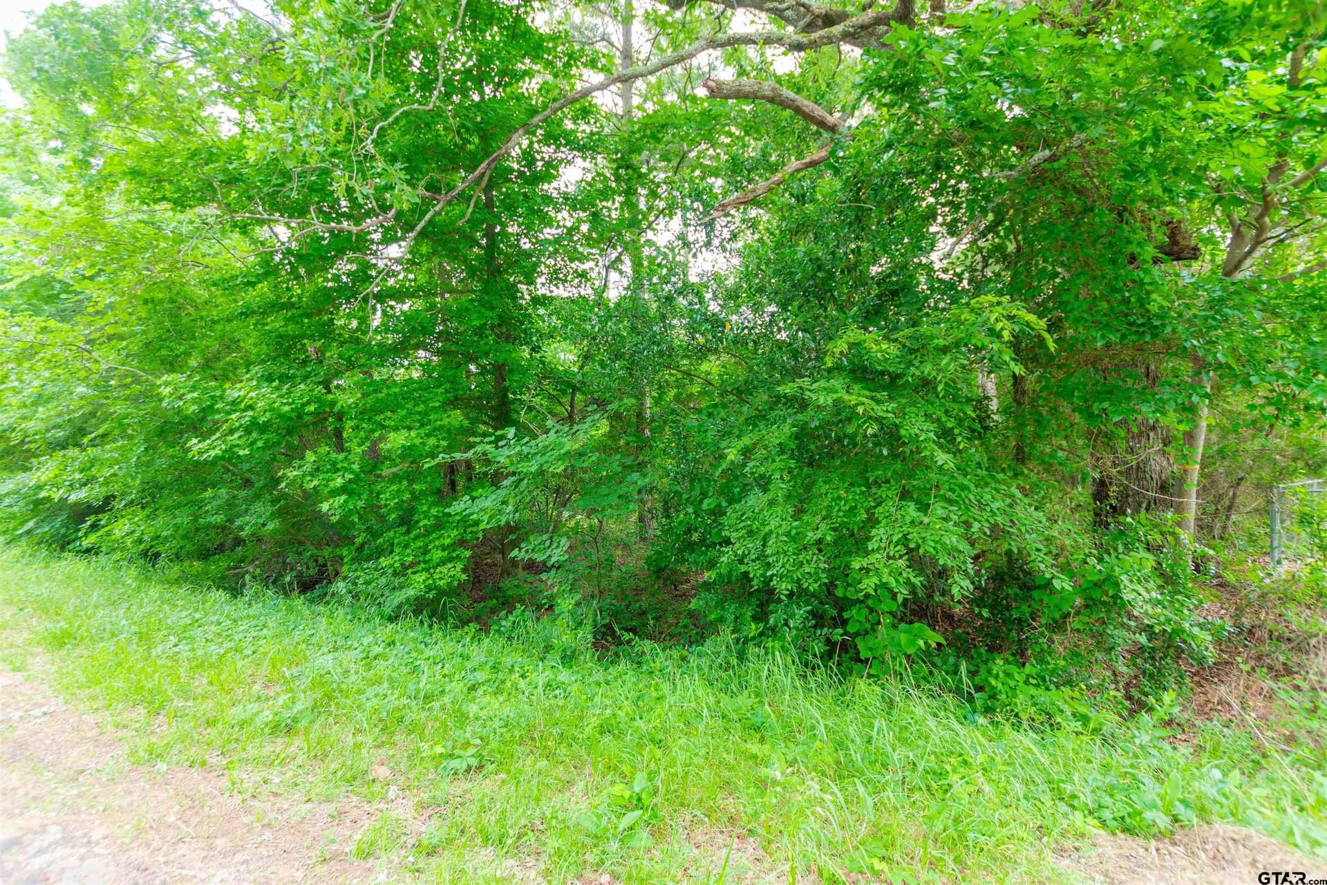 1.6 acres in Van Zandt County featured view