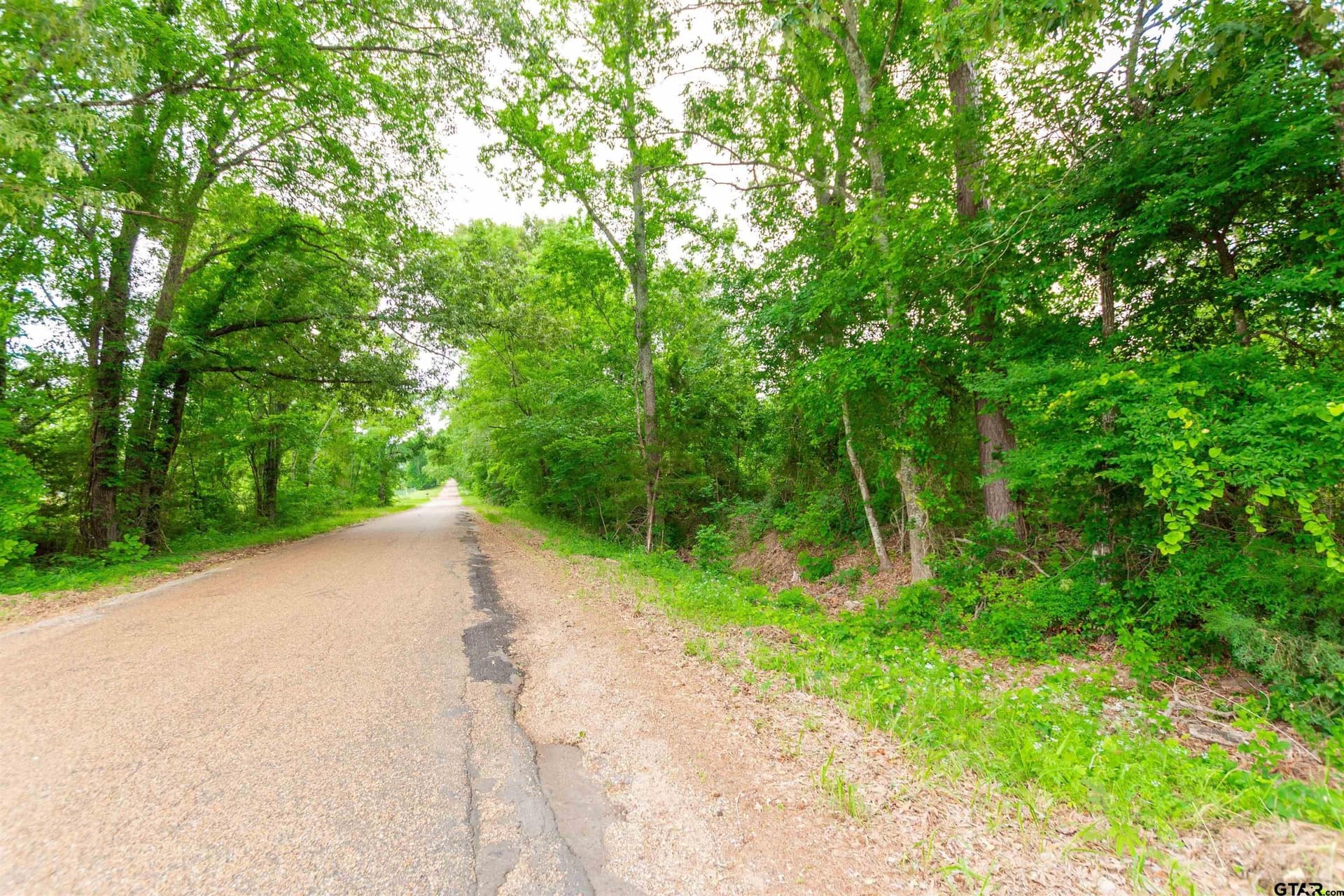 1.6 acres in Van Zandt County gallery image 4
