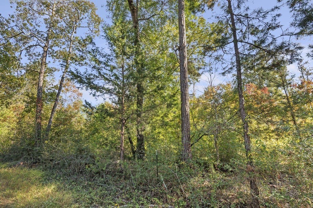 25.33 acres in Texas County featured view