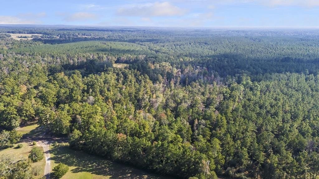 25.33 acres in Texas County